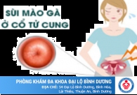 Sùi mào gà ở cổ tử cung nguy hiểm thế nào