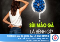 Sùi mào gà là bệnh gì