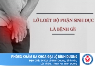 Lở loét bộ phận sinh dục biểu hiện những bệnh gì