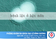 Bệnh lậu ở hậu môn: Nguyên nhân, triệu chứng và phương pháp điều trị hiệu quả