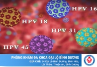 Virus HPV là gì, tầm quan trọng của xét nghiệm HPV