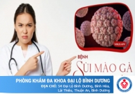 Sùi mào gà - Condyloma Acuminatum - Là bệnh gì? Cách điều trị