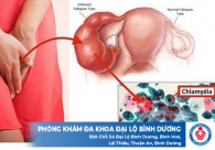 Chlamydia là gì Nguy hiểm thế nào