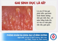 Gai sinh dục là gì, có nguy hiểm không