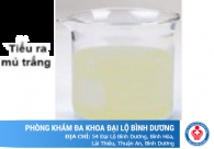 Tiểu ra mủ là bệnh gì