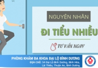 Đi tiểu nhiều do đâu