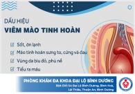 Viêm mào tinh hoàn và triệu chứng không thể bỏ qua