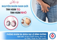 Tinh Hoàn Bên To Bên Nhỏ Là Do Đâu?