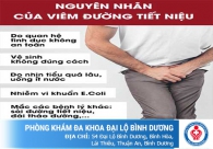 Nguyên nhân gây viêm đường tiết niệu