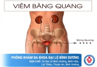Bệnh viêm bàng quang và những điều bạn chưa biết