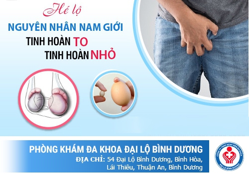 Nguyên nhân tinh hoàn bên to bên nhỏ là gì