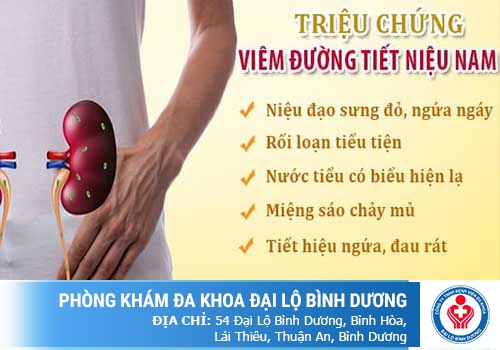 Hệ tiết niệu ở nam giới (ảnh minh họa). 