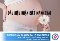 Dấu Hiệu Mang Thai Hiện Nay? Độ Chính Xác Của Que Thử Thai