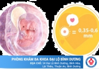 Thai 4 tuần phá bằng thuốc được không? Địa chỉ phá thai 4 tuần an toàn
