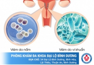 Bệnh viêm tử cung ở nữ giới và những điều cần biết