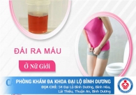 Đái ra máu là bệnh gì ở phụ nữ? Đừng xem thường triệu chứng kẻo bệnh thêm nặng