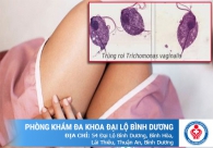 Bạn biết gì về bệnh trùng roi?