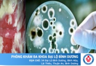Nấm Candida, dấu hiệu nhận biết và cách trị hiệu quả