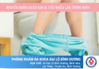 Nguyên nhân khiến bạn đi tiểu nhiều lần trong ngày. Lời khuyên từ bác sĩ chuyên khoa!