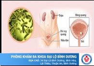 Đi tiểu buốt ở phụ nữ - Coi chừng mất khả năng sinh sản
