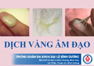 Âm đạo ra dịch màu vàng cảnh báo bệnh lý nguy hiểm