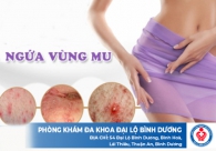 Điều trị ngứa vùng mu ở nữ giới như thế nào?