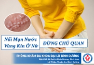Nổi Mụn Nước Vùng Kín Ở Nữ
