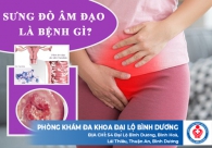 Sưng đỏ âm đạo là bệnh gì và giải quyết ra sao?