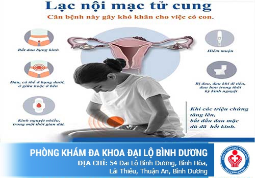 dau bung